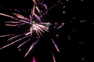 2020IMGP3181