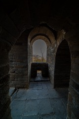 2019IMGP3469