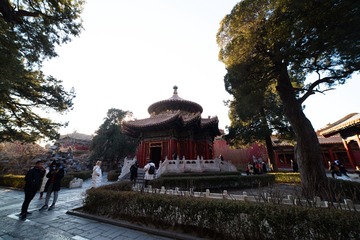 2019IMGP3676