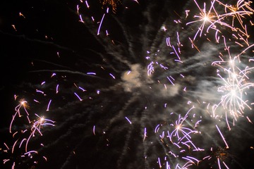 2020IMGP3218
