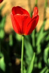 TO5A5252.JPG