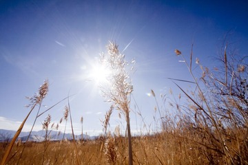 _MG_16852.jpg