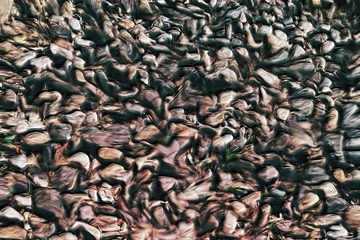 IMAG03681.jpg