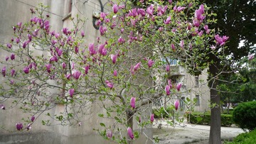 P1050121.JPG