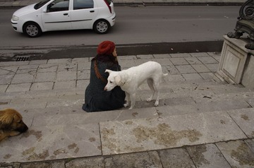 _IGP4181.JPG