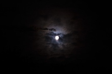 IMGP9132-1