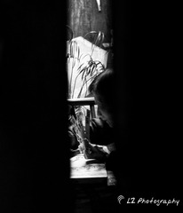 DSC_4351-1