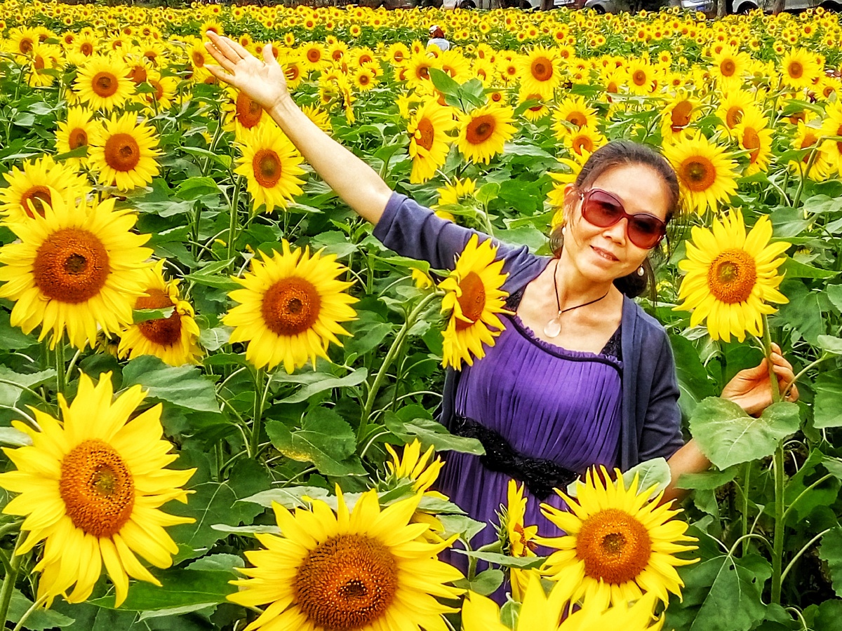 花丛中手机拍摄