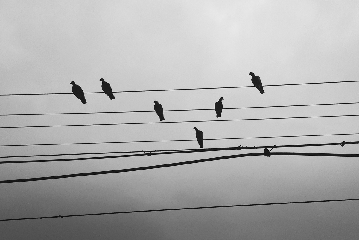 walk alone - 黑白, 情感 - walk alone - wusheng - 图虫摄影网