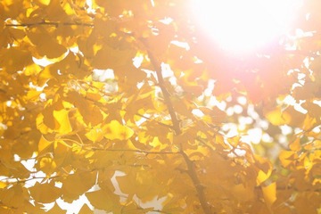 IMG_0369.JPG