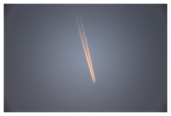 2502878