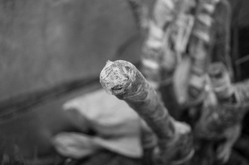 20130306-DSC04345.jpg