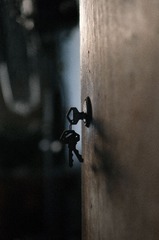 20130306-DSC04352.jpg