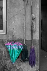 20130306-DSC04360_副本.jpg