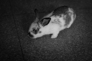 20130307-DSC04362.jpg