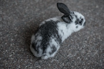 20130307-DSC04401.jpg