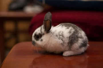 20130307-DSC04461.jpg
