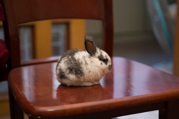 20130307-DSC04463.jpg