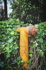 DSC00876-编辑.jpg