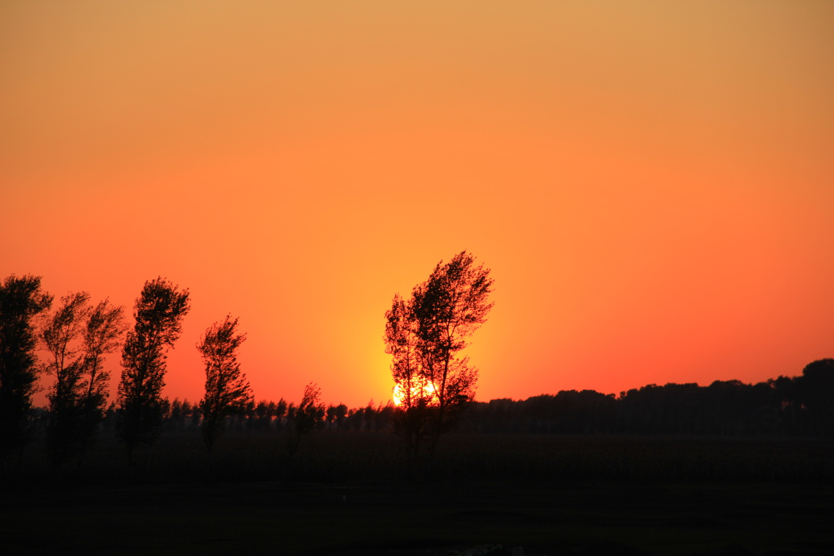 路遇高速公路堵车,百无聊赖,刚巧窗外一抹黄昏!