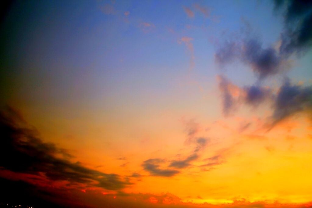 IMG_1191 (2)<br />
