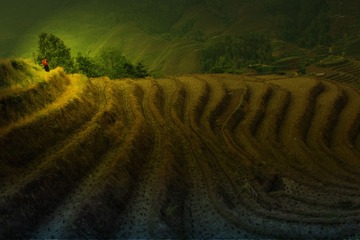 龙脊梯田