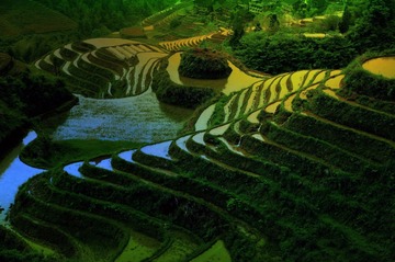 龙脊梯田