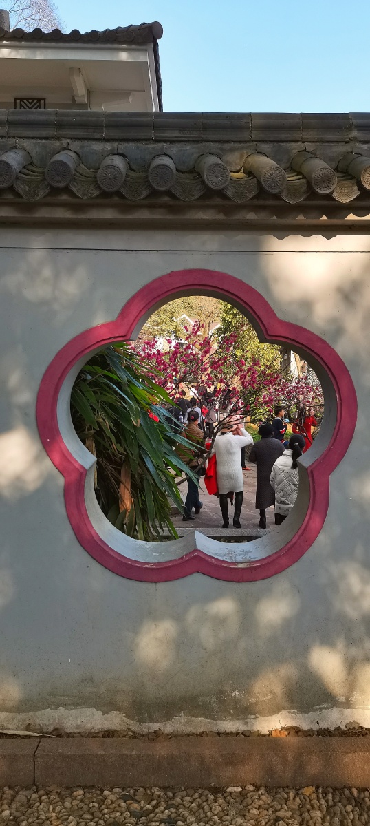 梅花墙饰透春光