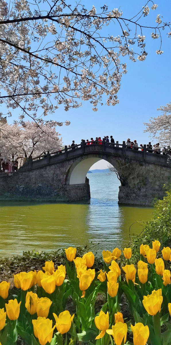 无锡太湖鼋头渚公园.