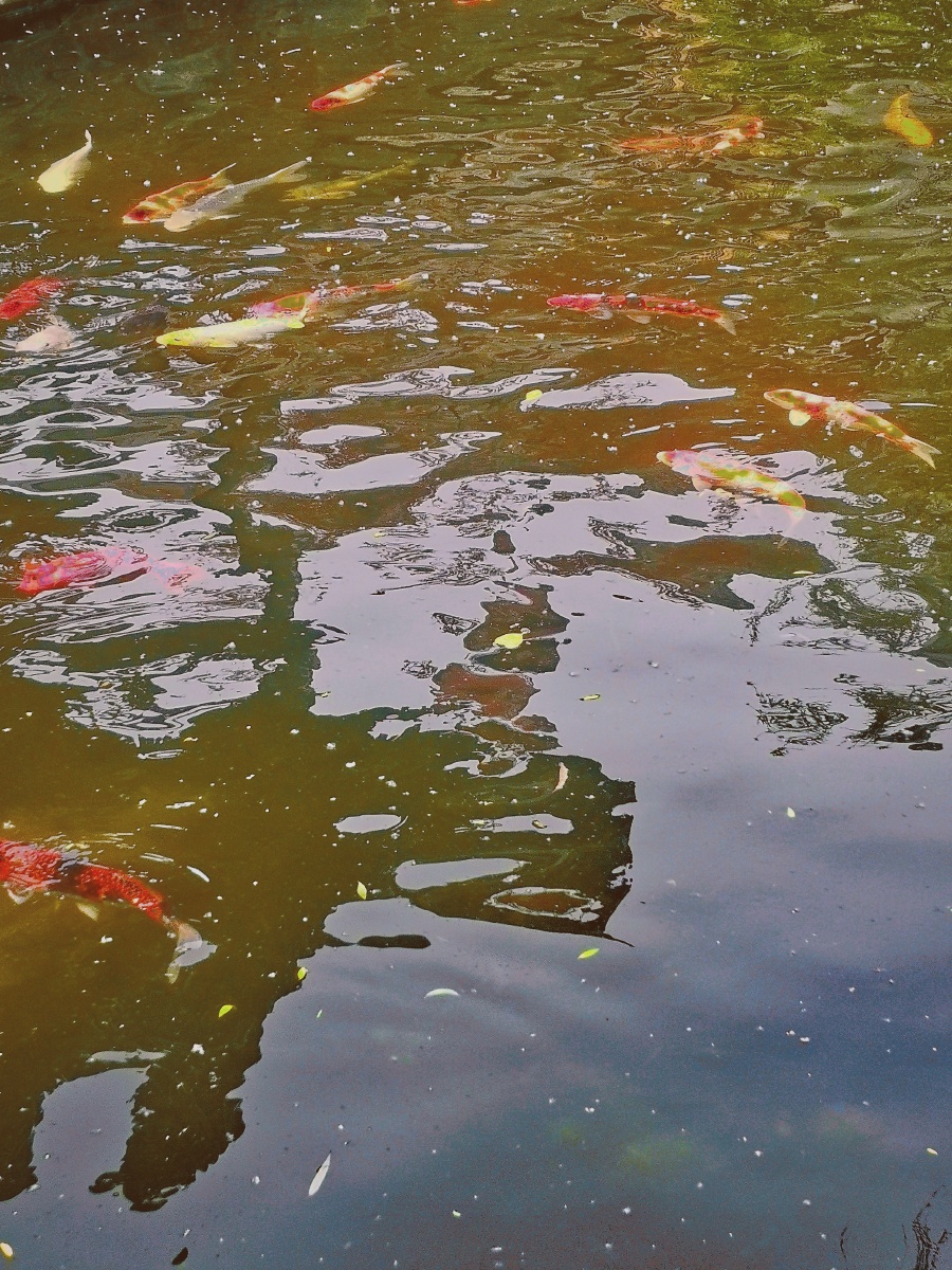 900_1200竖版 竖屏