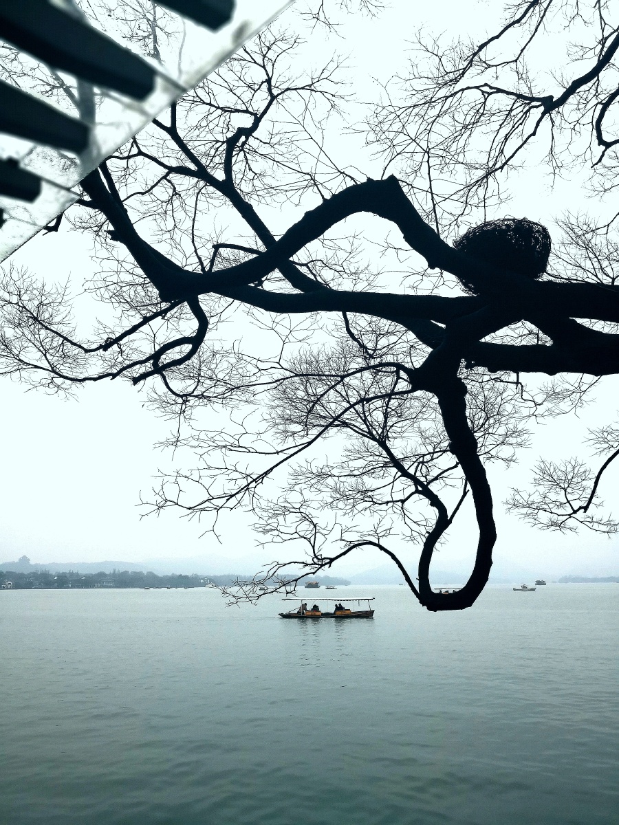 西湖剪影