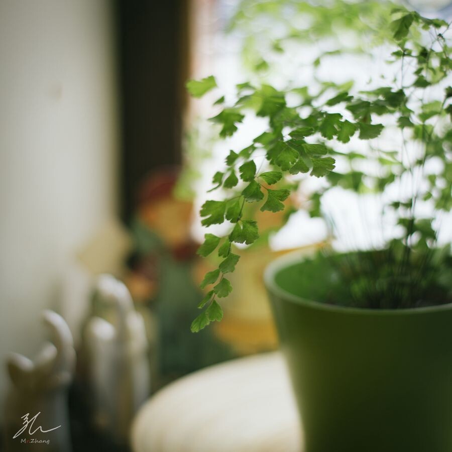 夜深人静传点骗小姑娘的图