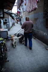 _MG_5772-1