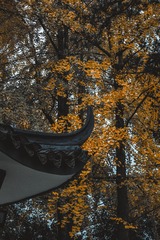 623405
