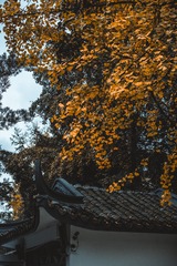 623402