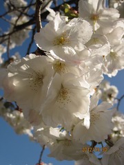 IMG_4174.JPG