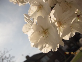 IMG_4180.JPG