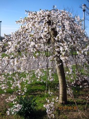 IMG_3938_副本.jpg