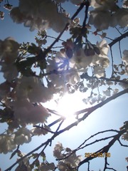 IMG_3955.JPG