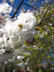 IMG_3961.JPG