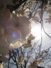 IMG_4177.JPG
