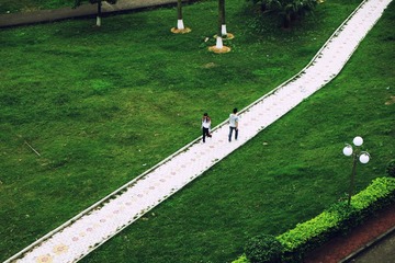 DSCF2503.jpg