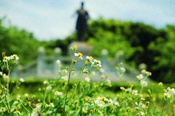 DSCF3388（1）.jpg