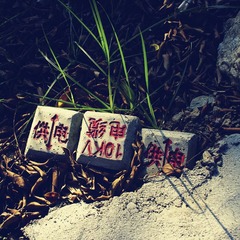 20120902-IMGP8189_副本.jpg