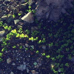 20120902-IMGP8190_副本.jpg