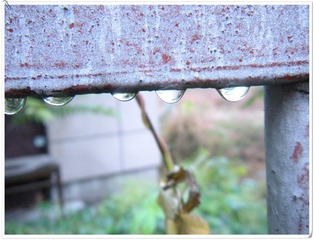 DSCN2201_