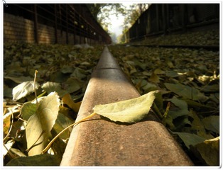 DSCN2441_