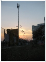 DSCN2704_