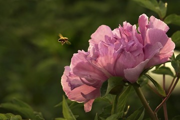 DSC06019 拷贝1200