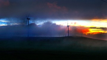 aaa